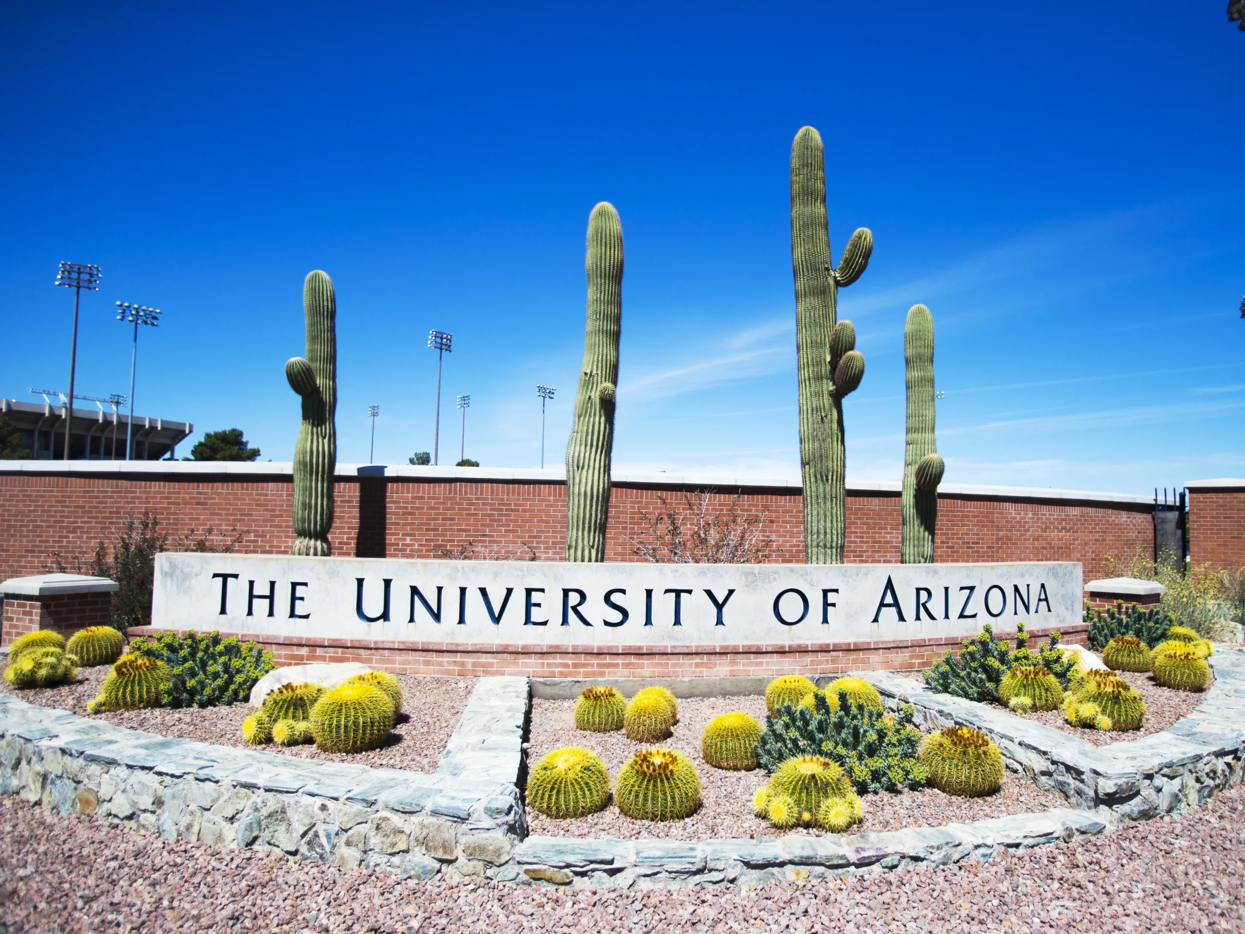 Tragic Death of University of Arizona Student Under Investigation: A Community in Mourning and a Call for Mental Health Awareness